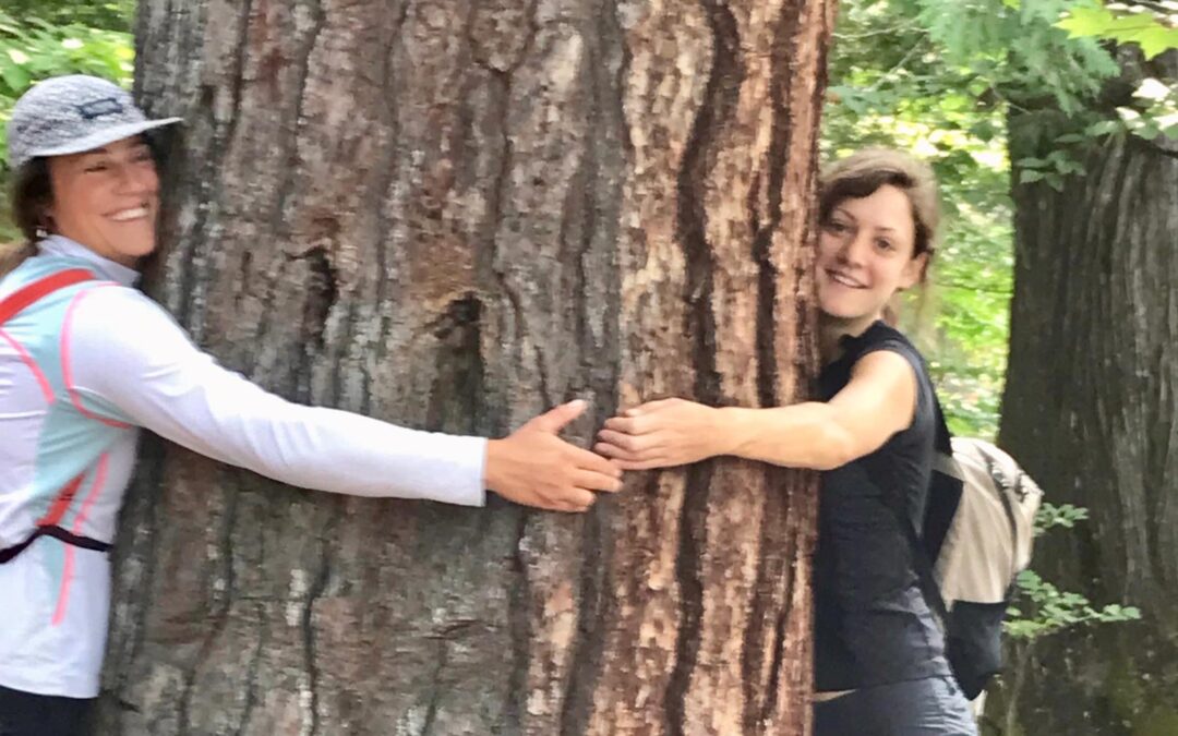 2026 Volunteer Opportunities with Friends of Dumoine